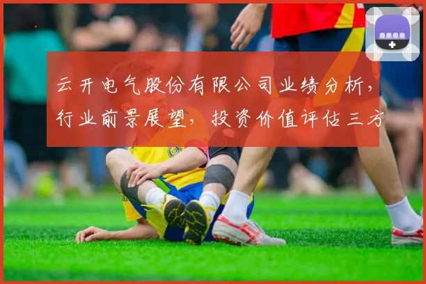 云开电气股份有限公司业绩分析，行业前景展望，投资价值评估三方面解析