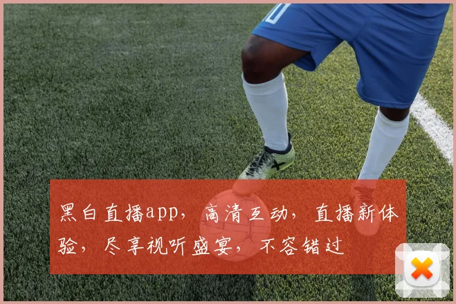 黑白直播app，高清互动，直播新体验，尽享视听盛宴，不容错过