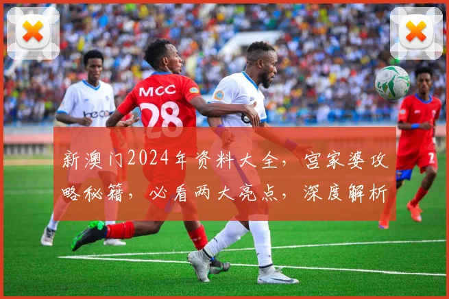新澳门2024年资料大全，宫家婆攻略秘籍，必看两大亮点，深度解析