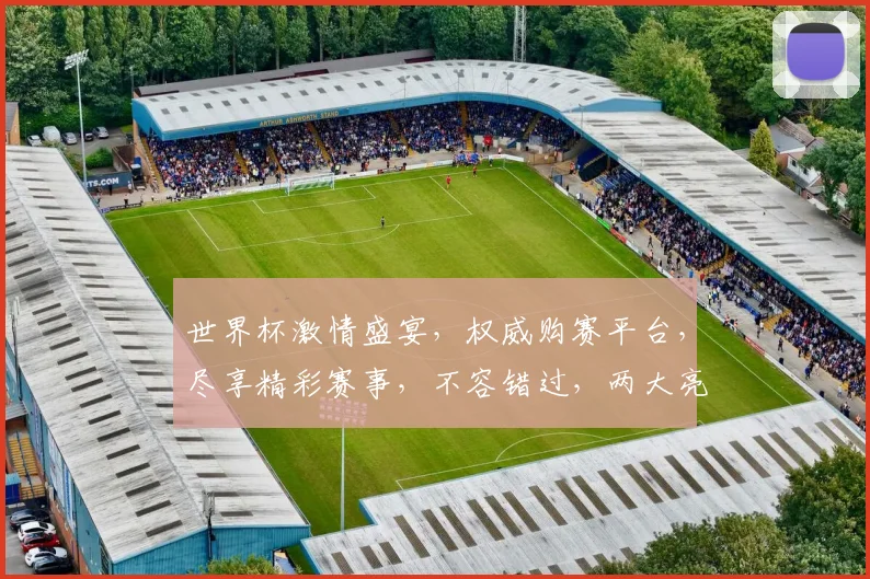 世界杯激情盛宴，权威购赛平台，尽享精彩赛事，不容错过，两大亮点，等你来挑
